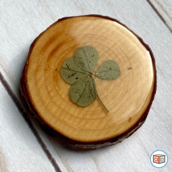 Genuine 4-Leaf Clover Pocket Token | Good Luck Charm | Happiness and Luck | Worry Coin | Special Gift