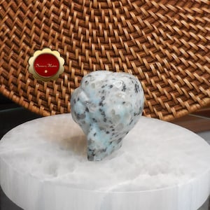 Kiwi Jasper Alien Skull, Carved Jasper Alien Head, Extraterrestrial Skull Carving, Crystal Skull