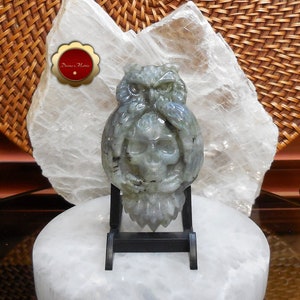 Labradorite Crystal Skull with Owl, Polished Carving, Decorative Gem Sculpture