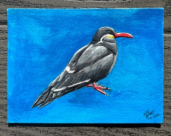 Tropical Bird is the word (original gouache painting)