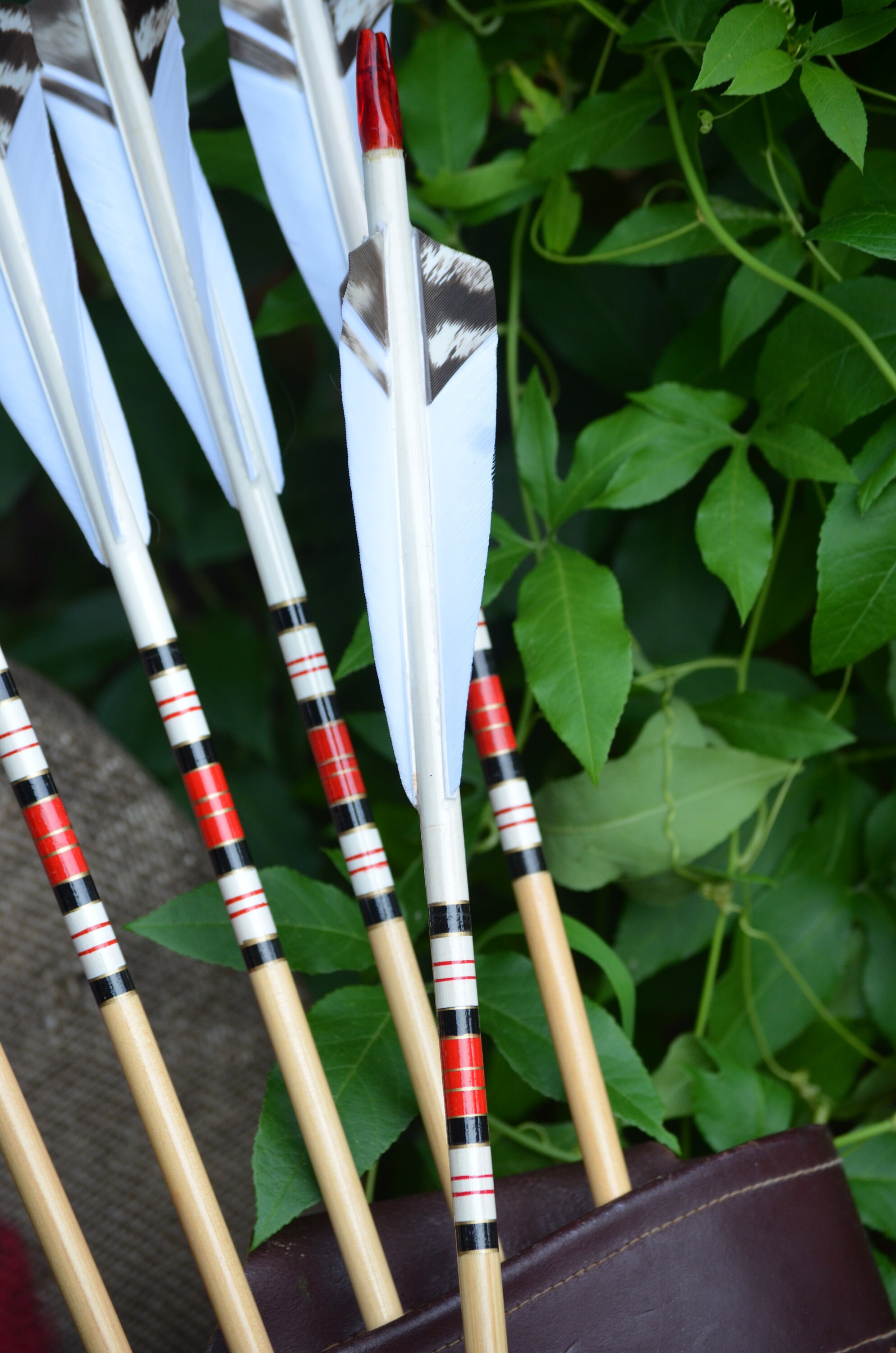 Archery Arrows Traditional Wood Arrows With White Dip and Red Etsy
