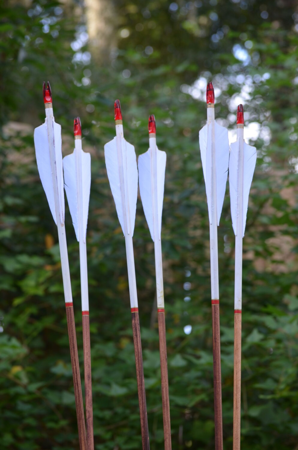 Archery Arrows Wood Archery Arrows Set of 6 White Dipped | Etsy