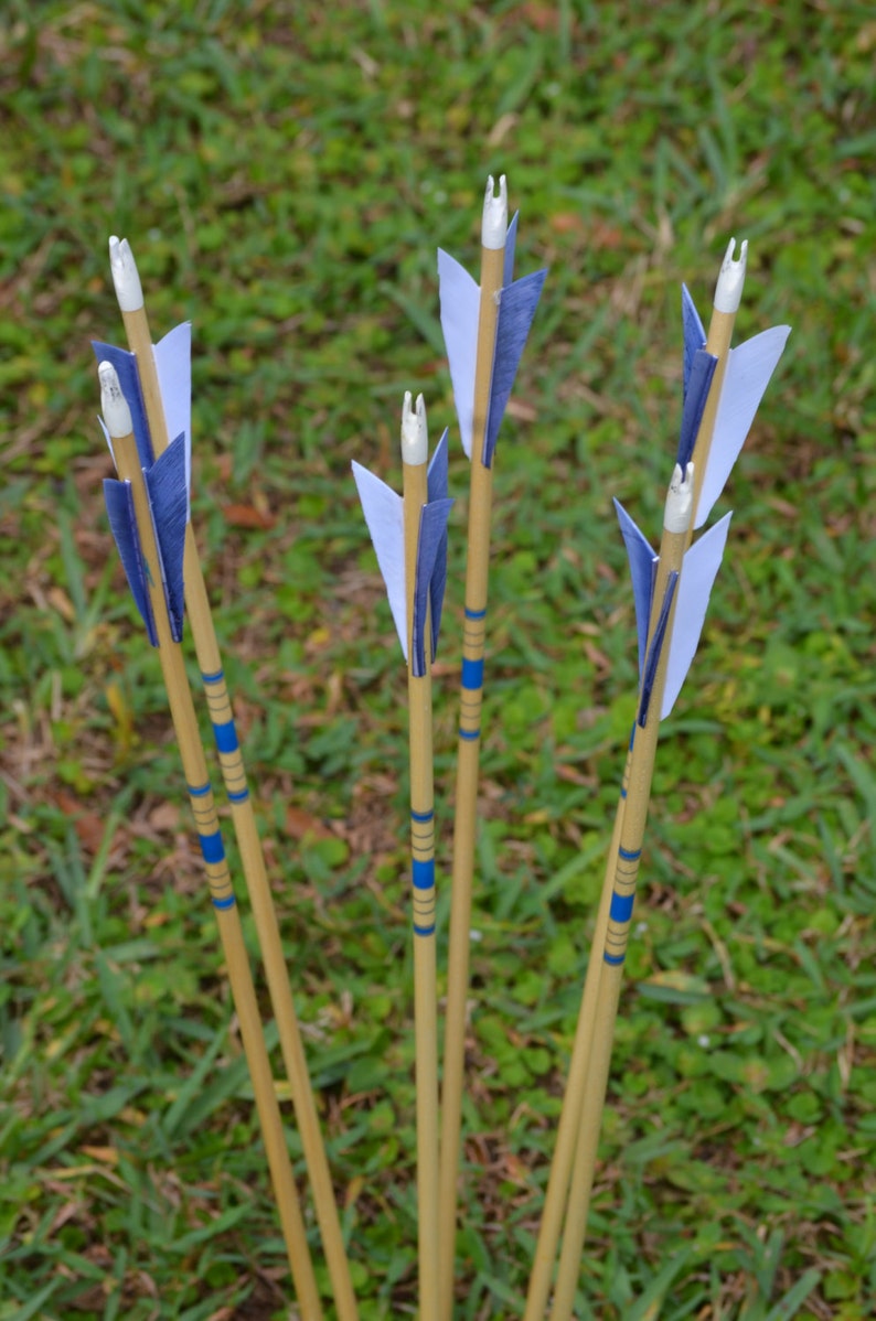 Archery Arrows Junior Archers Poplar Shafts Set of 6 Blue Etsy