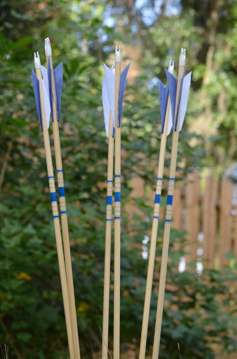 Archery Arrows Junior Archers Poplar Shafts Set of 6 Blue Etsy