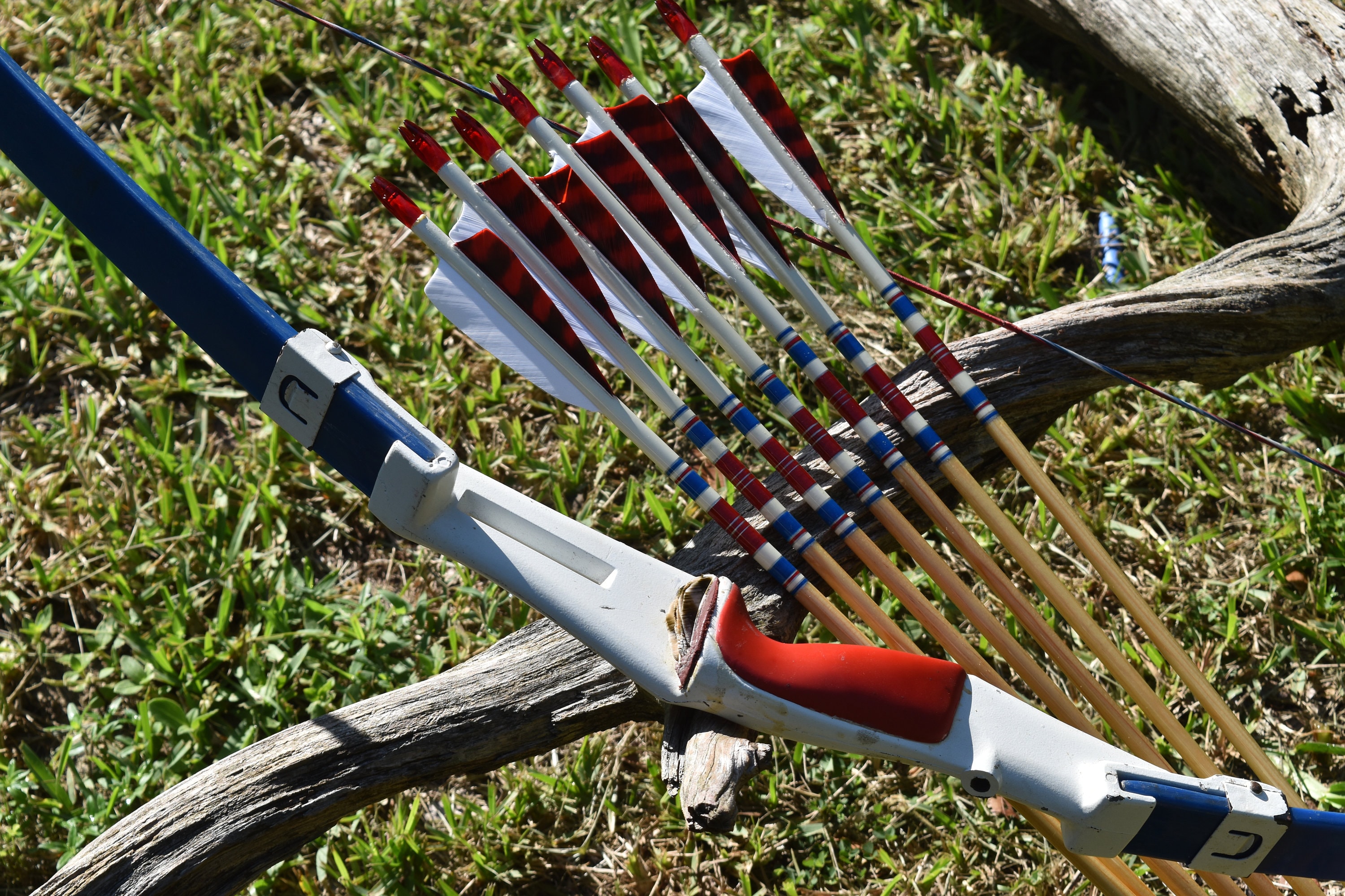 Archery take down Bow Vintage Bear 76er with arrows 50 Etsy