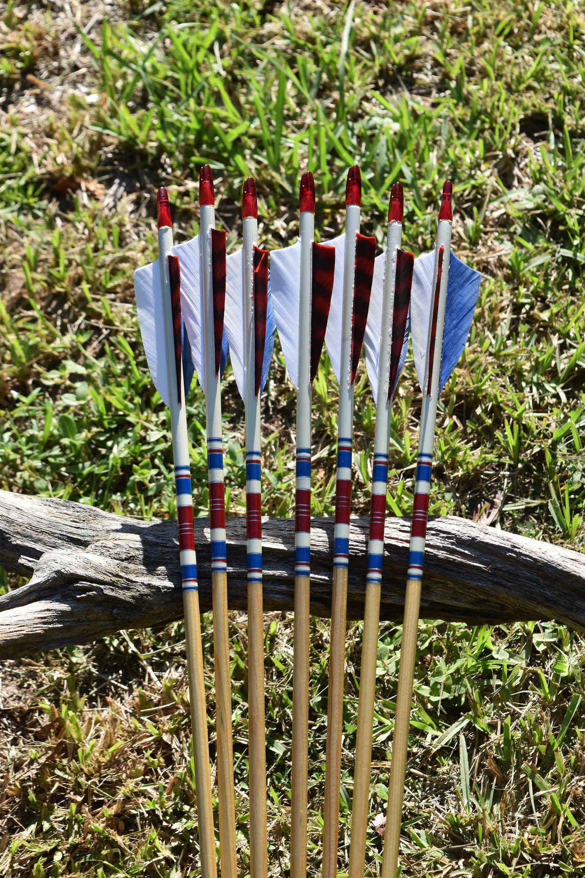 Archery arrows Port Orford cedar arrows Red white and Blue | Etsy