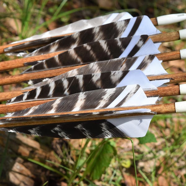 Archery arrows, Traditional wood arrows with walnut dip and black cresting
