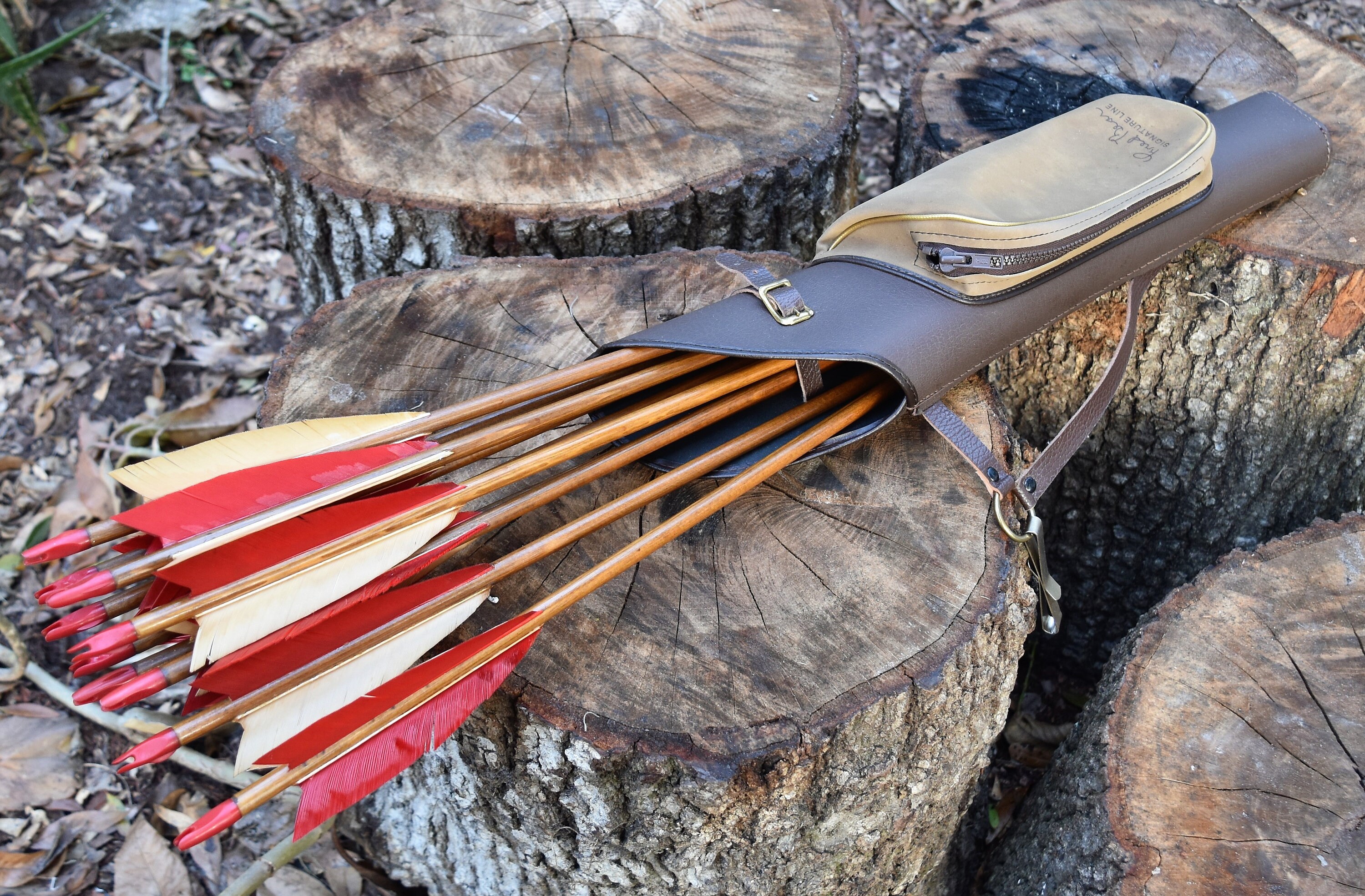 quiver for arrows