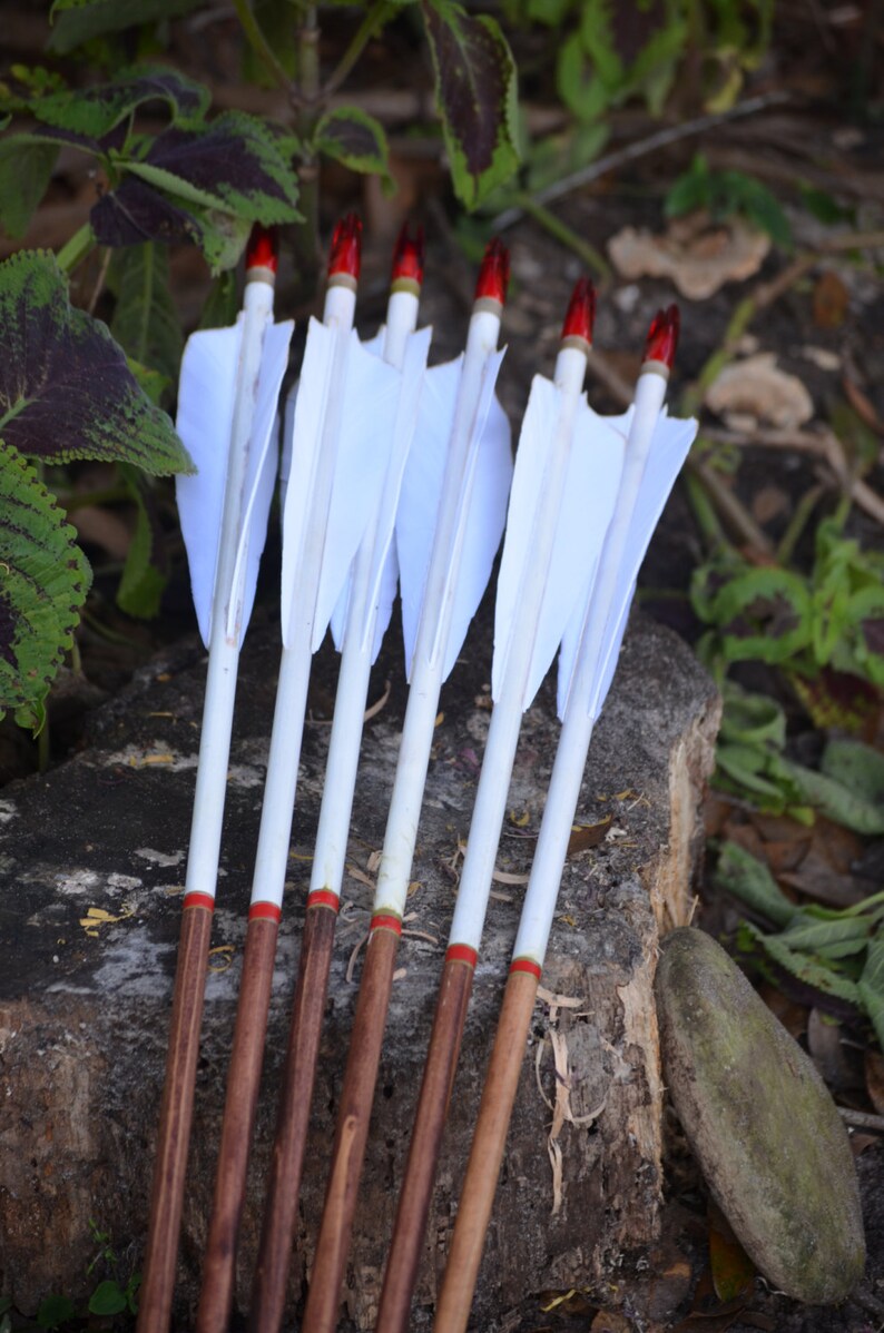 Archery Arrows Wood Archery Arrows Set of 6 White Dipped Etsy