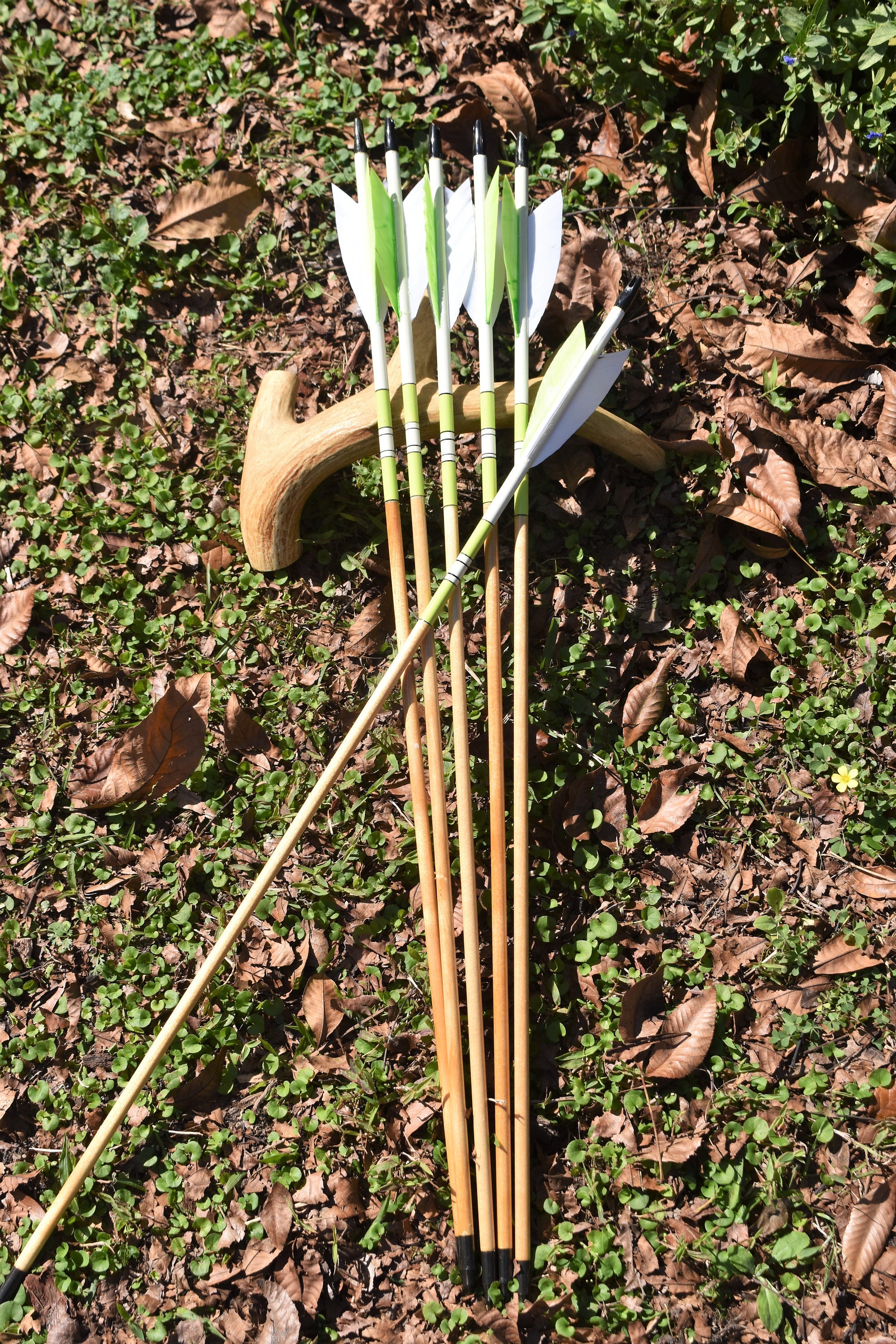 Archery arrows Port orford cedar arrows Bright lime green | Etsy