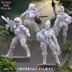 Imperial Pilot Pinups | 1st Class Flight from Across the Realms | 3D Printed Wargaming Proxies