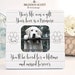 Pet Memorial, Pet Loss, Pet Loss Gift, Dog Frame Personalized, Memorial Frame, Pet Memorial Frame, Pet Sympathy Gift, Cat Loss, Cat Memorial 