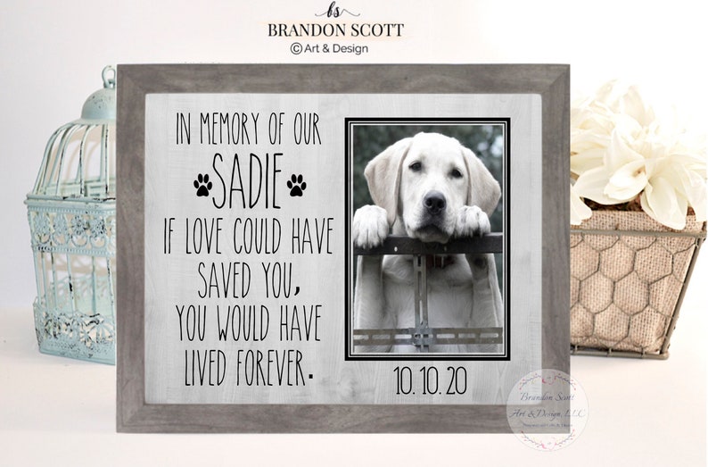 Pet sympathy gift pet loss frame dog memorial cat memorial