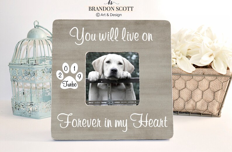 Personalized Pet Memorial Frame: Loss of Pet Sympathy Gift, forever in my heart image 1