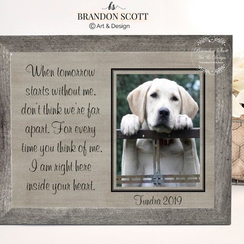Farewell.. 6" x 4" Frame Remembrance Memorial R.I.P Pet Loss Tribute Gifts 