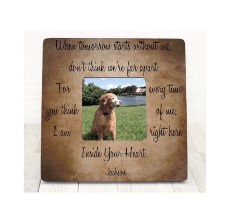 Pet Loss Memorial Pet Sympathy Gift Dog Cat Perfect Companions Etsy