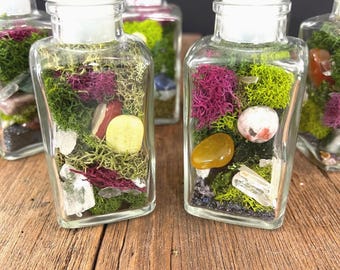 Jardín de Cristal en una Botella con Musgo. Especiero Vintage Reciclado para Decorar o Manifestar.