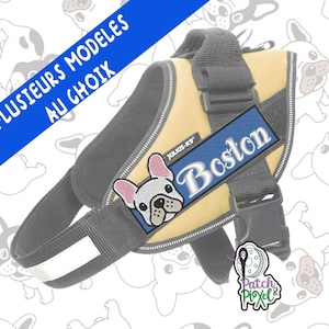 May include: Yellow Julius-K9 dog harness with a blue and white embroidered patch that says "Boston". The harness has a reflective strip and a small white French bulldog graphic.