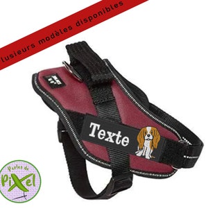 May include: Burgundy dog harness with black straps and a black name tag that says "Texte". A small embroidered image of a brown and white dog is on the name tag.