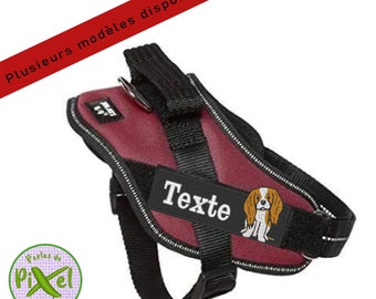 CAVALIER KING CHARLES embroidery patch to personalize harness, collar or clothing