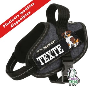 Puede incluir: Un arnés de perro gris con un asa negra y un parche negro con texto blanco que dice "IDC by JULIUS-K9" y "TEXTE". El parche también presenta una pequeña imagen bordada de un perro.