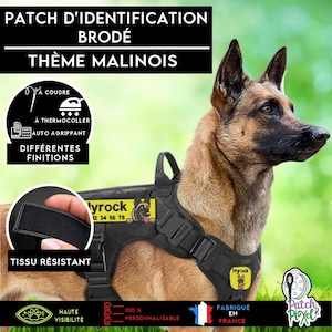 May include: A black dog harness featuring a rectangular yellow patch with the text 'lyrock' and '12 34 56 78' alongside a Malinois dog illustration. The harness includes a handle, adjustable straps, and a small yellow square patch with a dog icon.