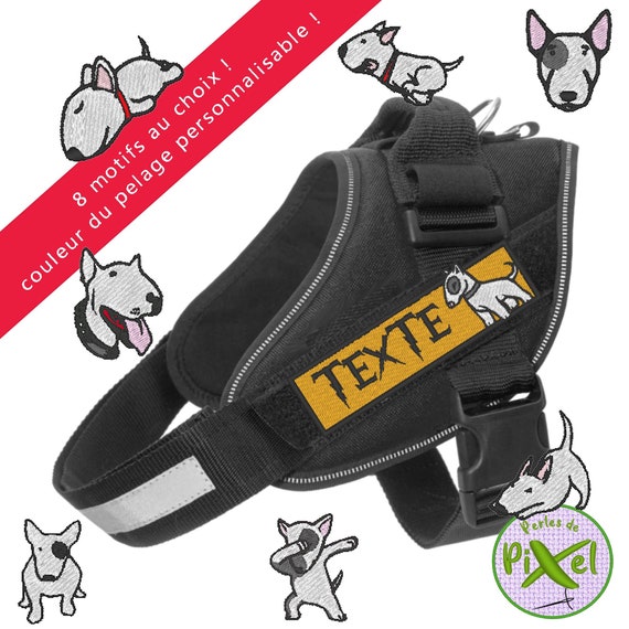 105 Nomi Per Cani Bull Terrier