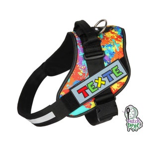May include: A black dog harness with a colorful abstract print and a gray name tag that says "TEXTE" in rainbow letters.