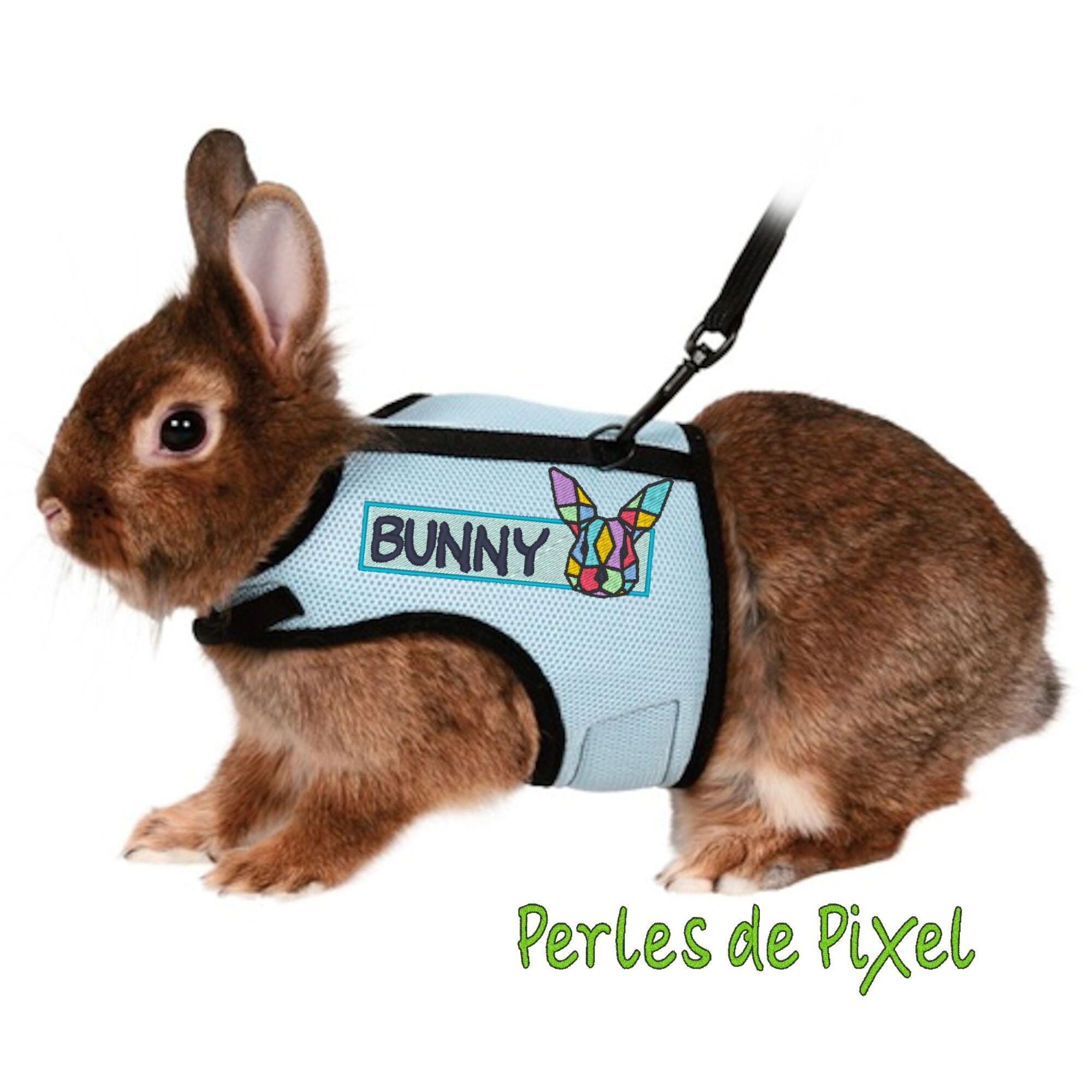 Bandeau/Patch Pour Customisation de Vêtements ou Harnais Lapin