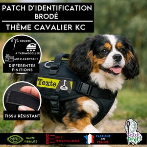 Geborduurd embleem met Cavalier King Charles-motief om een tuigje, halsband of kleding te personaliseren.