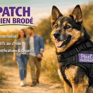Targhetta identificativa per cani ricamata – nome personalizzato – toppa per pettorina – targhetta per cani – accessorio di sicurezza – ricamo resistente