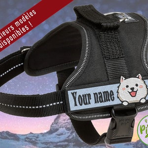 Può includere: Pettorina per cani nera con un'illustrazione di cane bianco e il testo "Your name" su una toppa blu. La pettorina ha una fibbia argentata e un anello argentato per attaccare un guinzaglio.