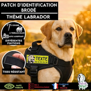 Geborduurd Labrador Golden Retriever-embleem om het tuigje van uw huisdier te identificeren of om de kleding van uw huisdier te personaliseren.