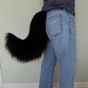 Curved Canine Tail