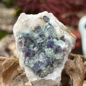 Diana Maria Mine Naughty Gnome Pocket UK Fluorite Purple Green Blue Cluster Matrix UV Reactive : Clarity / Purity / Stability 14 with Galena