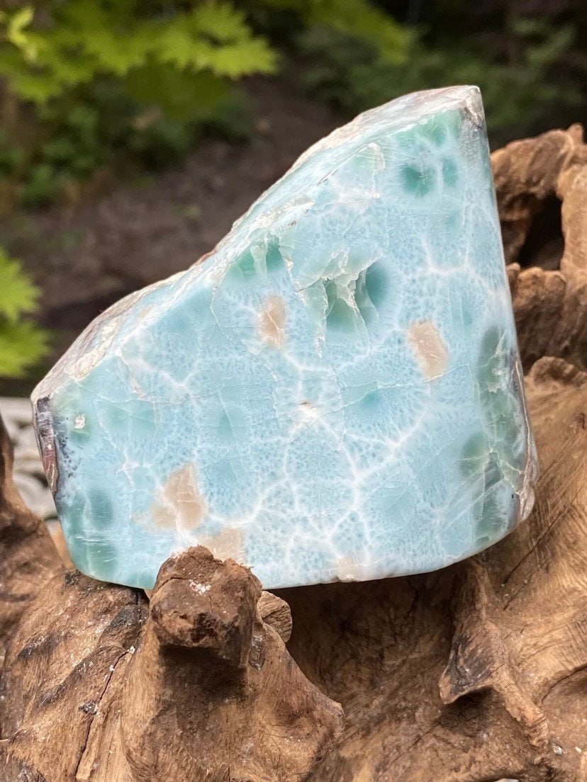 ❤larimar❤ Large Larimar Round Chunk Slice Dolphin Stone 462g 2 AAA+ : Peace