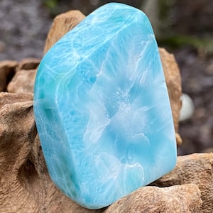Large Larimar Freeform Dolphin Stone AAA+ : Peace / Love / Tranquility 62g 4