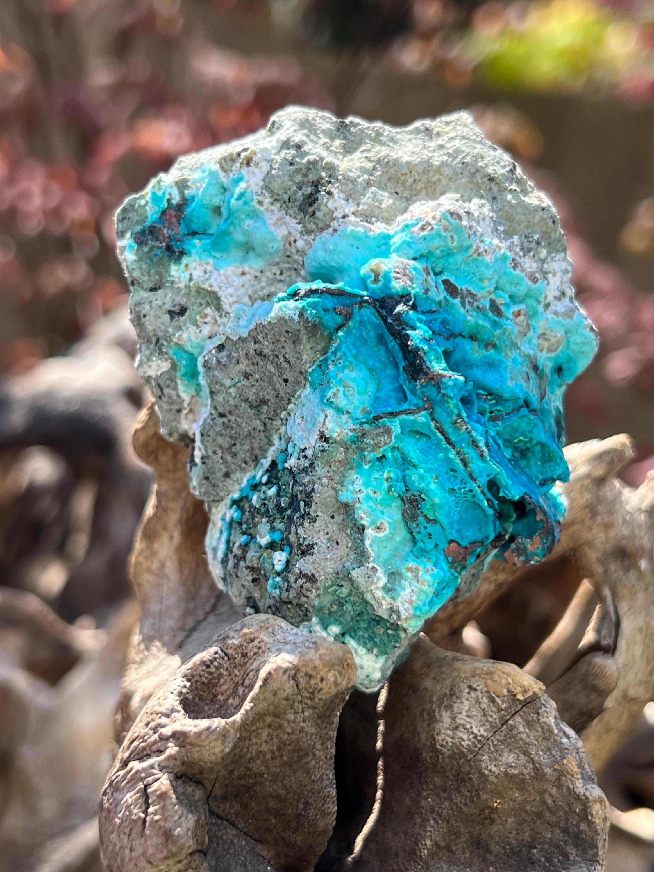 Chrysocolla Crystal Natural Unpolished Raw Specimen With Copper 3