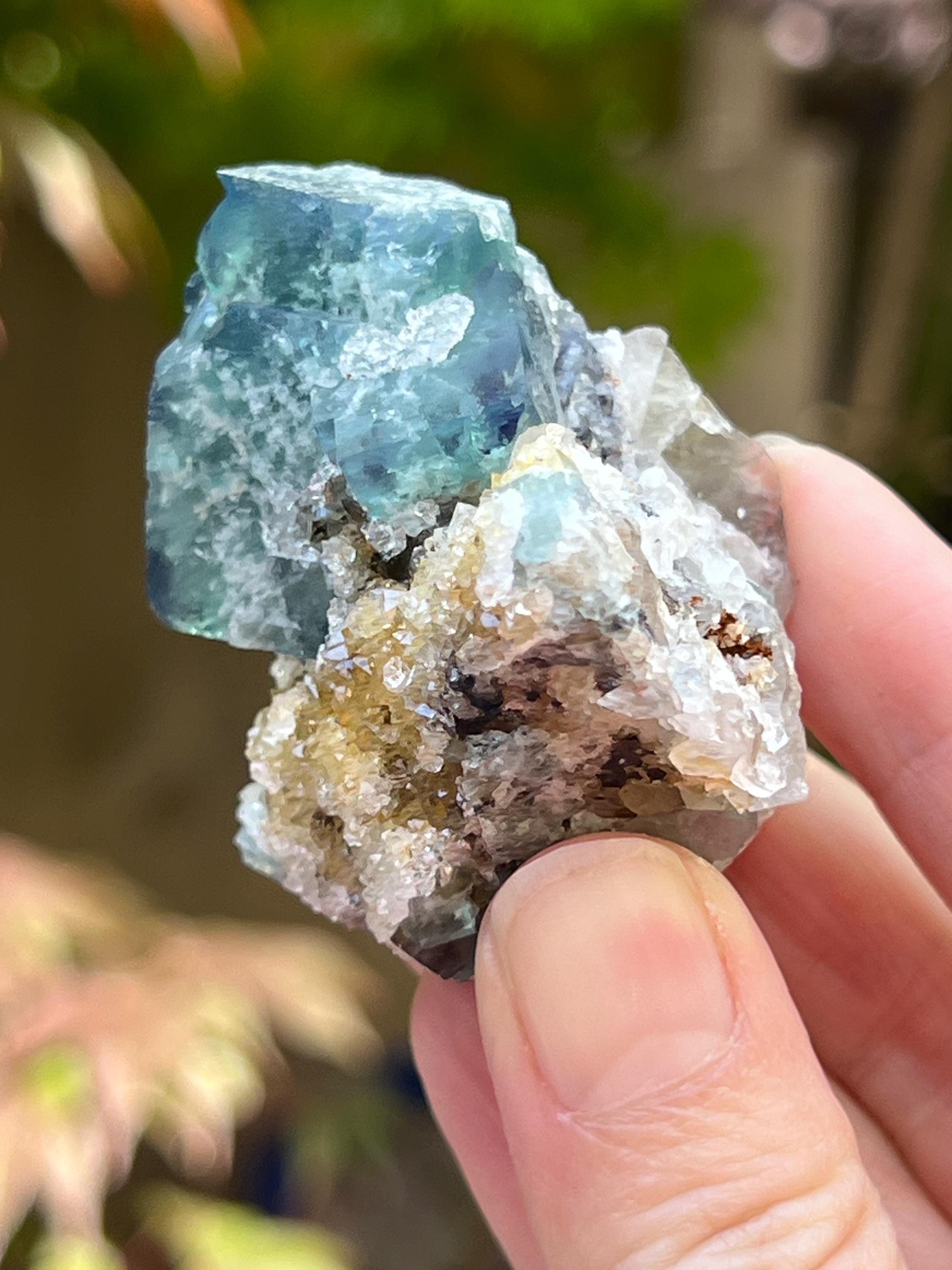 Diana Maria Mine Yum Yum Pocket Fluorite Cluster UV AB28 Rare