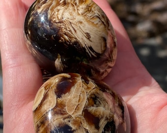 Large Amber Zebra Stripy Tumblestone  AAA+ : Grounding / Healing / Cleansing