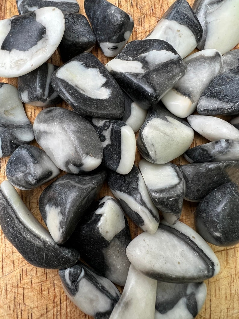 Tumbled Shellstone Shell Jasper Tumblestone 20/30mm - Etsy