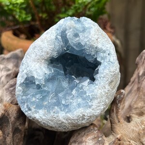 以下が含まれることがあります： 淡い青色で半透明の角張った結晶のクラスターを持つセレスタイトのジオード。粗い灰色の球状の岩の外殻の中にあり、内部の空洞には様々なサイズの多面的な結晶の先端が密集しています。