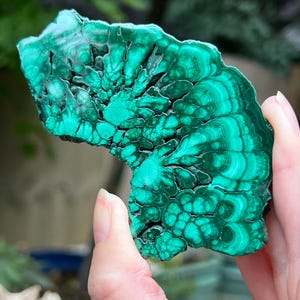 Malachite Specimen Slice AAA+ : Emotional Healing / Protection 105 100g