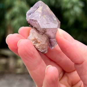 Könnte beinhalten: Ein violetter Amethyst-Kristall mit einer klaren Quarzspitze. Der Kristall hat eine natürliche, raue Textur und ist ein wunderschönes Beispiel für einen doppelt terminierten Kristall.
