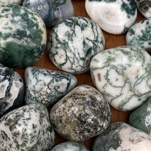 Tree Agate Tumblestones 30/40mm