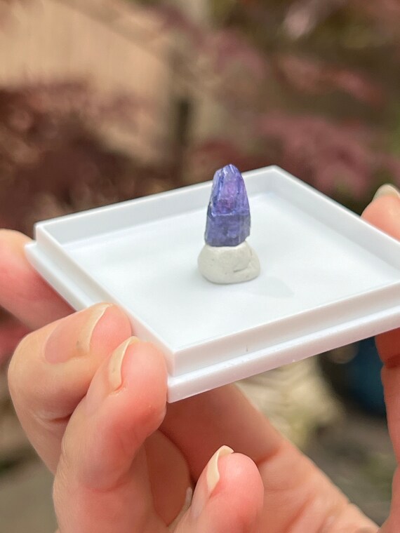 タンザニア産タンザナイトの宝石状結晶（展示ケース入り） - Etsy 日本