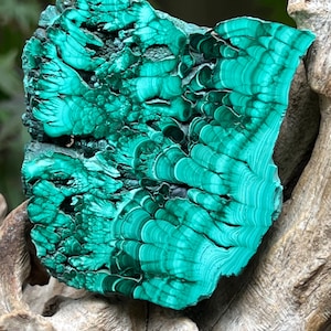 Malachite Specimen Slice AAA+ : Emotional Healing / Protection 110 249g