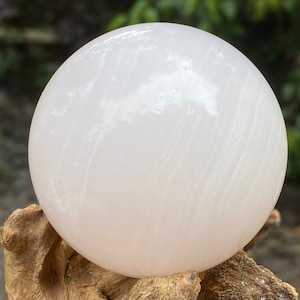 May include: A large, smooth, white sphere, possibly a crystal ball or decorative stone, rests on a piece of weathered wood. The sphere's surface reflects light, and the wood has a natural, textured appearance. The background is blurred green foliage.