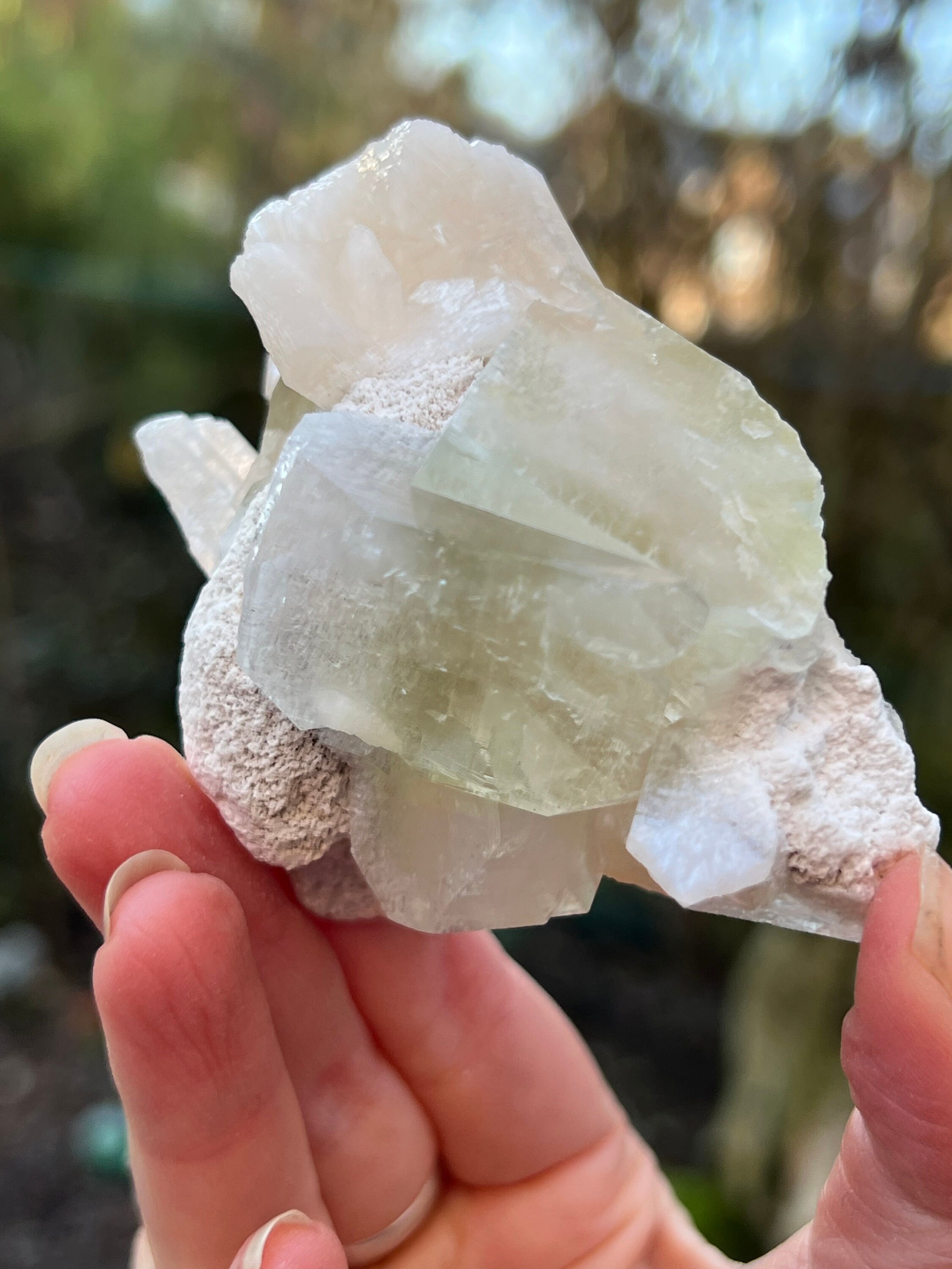 レア AAA レムリアンシード クリスタル ファントム スタンド付き