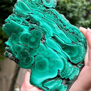 Malachite Specimen Slice AAA+ : Emotional Healing / Protection 116 574g